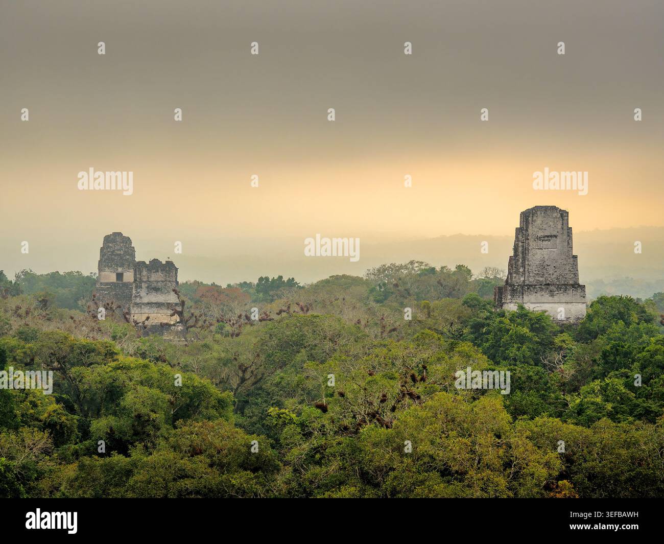 Lever de soleil sur les temples i, ii, et iii à tikal, département de peten, guatemala Banque D'Images