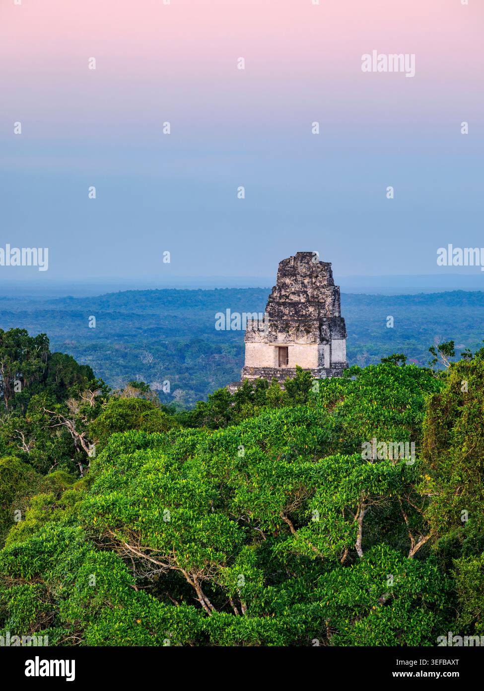 Vue du Temple I au crépuscule avec des paysages de jungle en arrière-plan à Tikal, Guatemala Banque D'Images