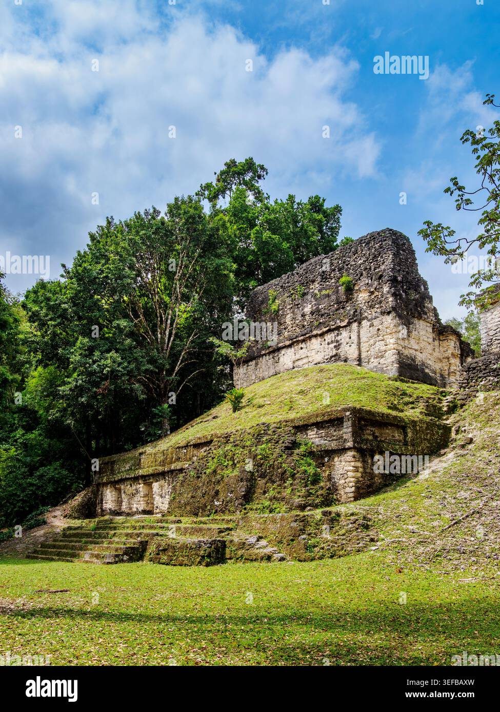 Vue arrière du Temple des crânes entouré d'arbres à Tikal, Guatemala Banque D'Images