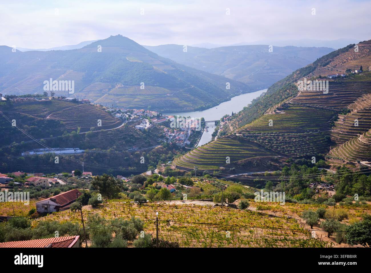 Les vignobles et la rivière dans la vallée du Douro présentent l'agriculture et le paysage au Portugal pendant la journée Banque D'Images