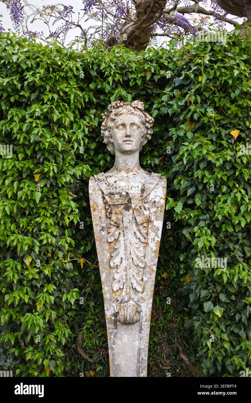 Une sculpture classique de buste en pierre située dans une alcôve sculptée dans une grande haie de jardin vert à Blickling Estate, Norfolk, Angleterre Banque D'Images