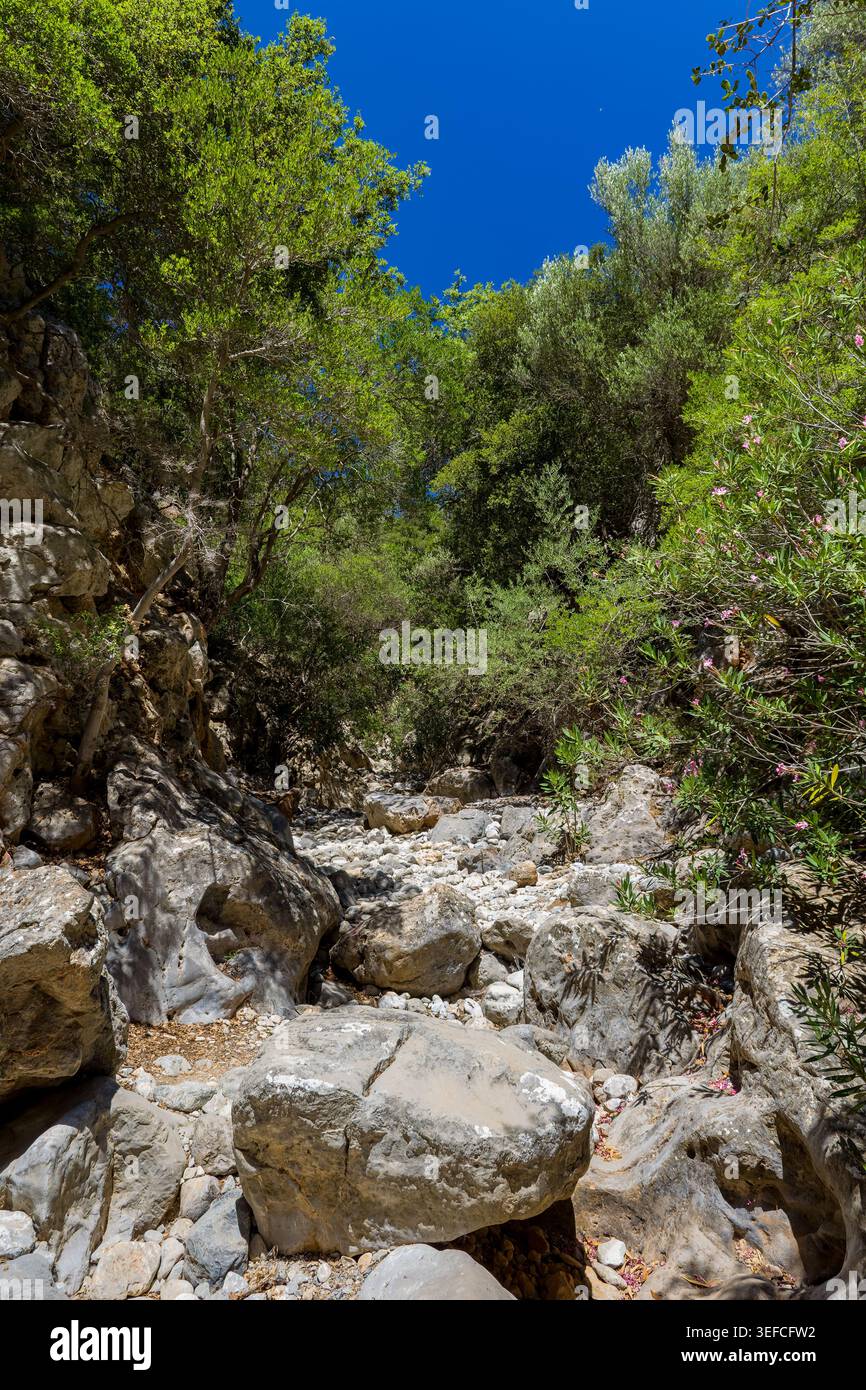 Vue en bas angle de Kritsa gorge montrant des falaises abruptes et des arbres verdoyants Banque D'Images