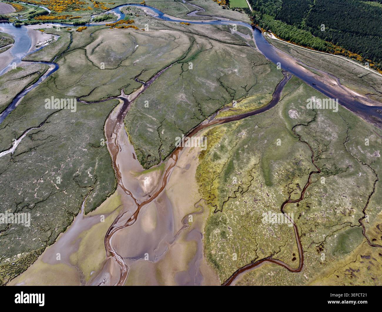 Vue aérienne de la baie de Findhorn montrant le réseau complexe de chenaux de marée, de bancs de sable et de marais verdoyants à Findhorn, en Écosse, au Royaume-Uni. Banque D'Images