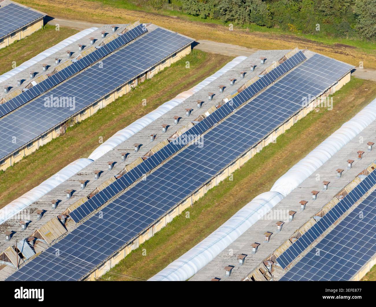 Vue aérienne des panneaux solaires installés sur les toits de longs bâtiments industriels entourés de champs verts Slovénie. Banque D'Images