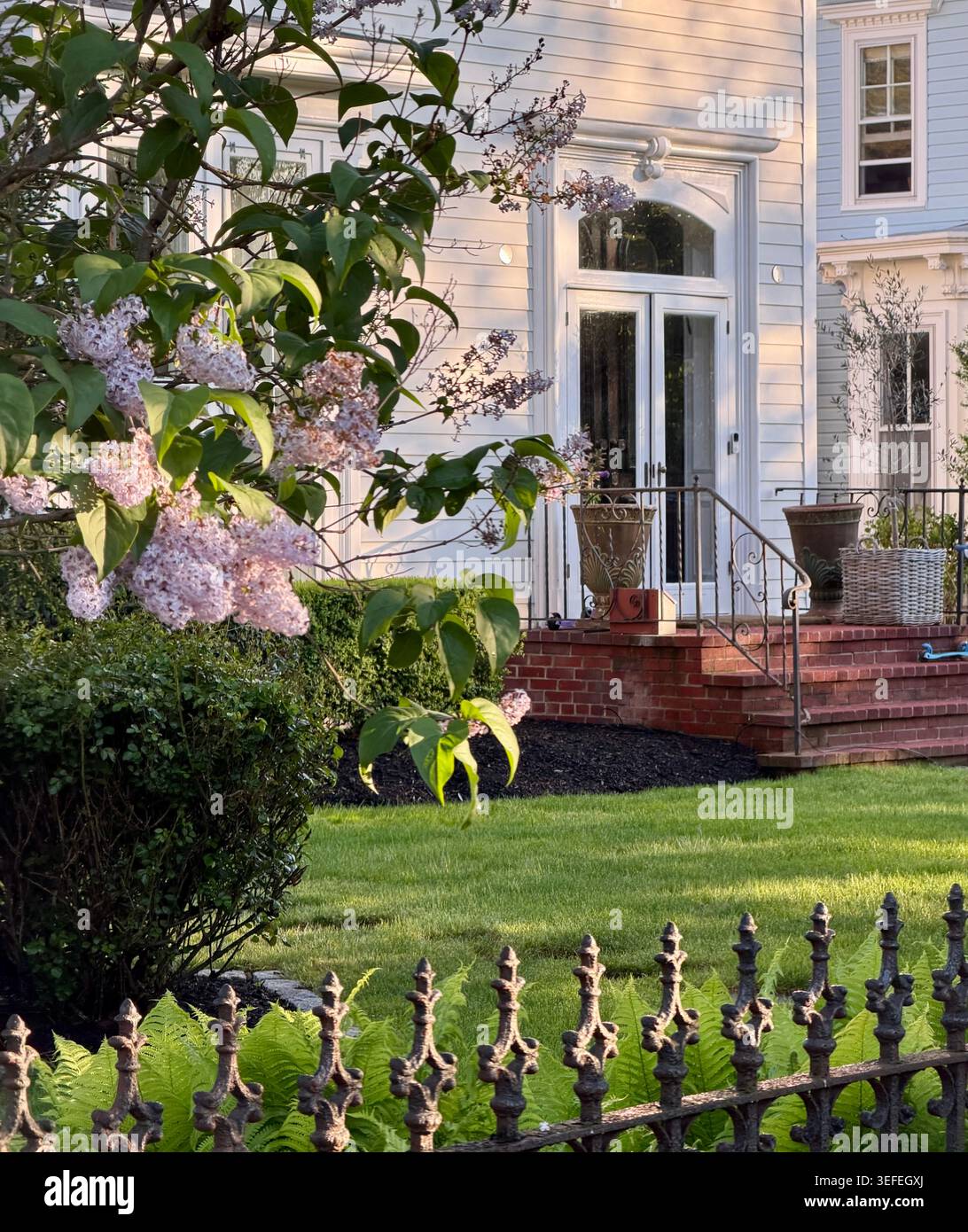 Maison Bay Avenue encadrée par un buisson d'hortensia et une clôture en fer forgé près du centre de Greenport, New York. Banque D'Images