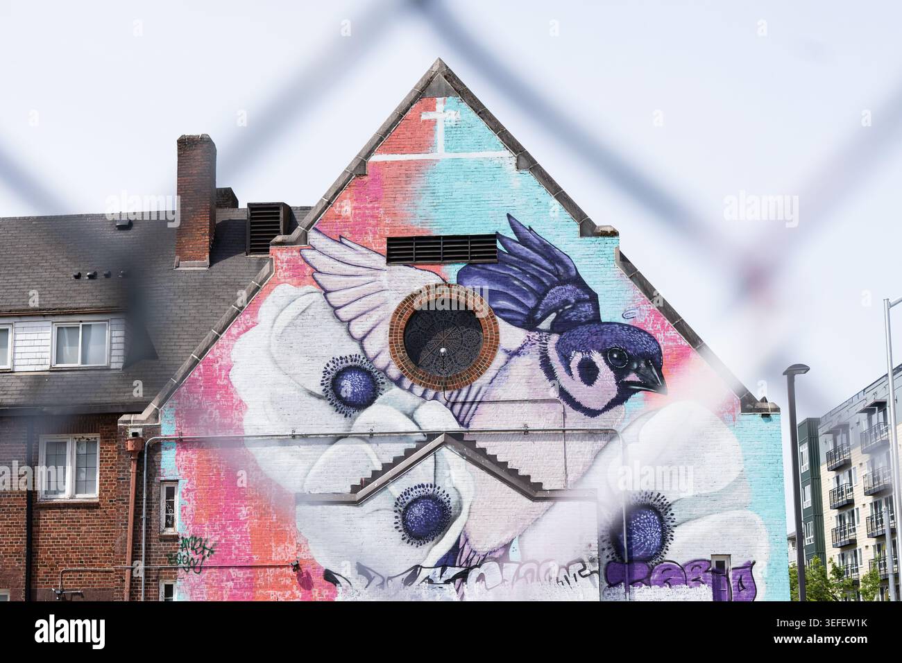 Peinture murale colorée d'oiseau peinte sur le côté d'un bâtiment dans un quartier urbain Banque D'Images