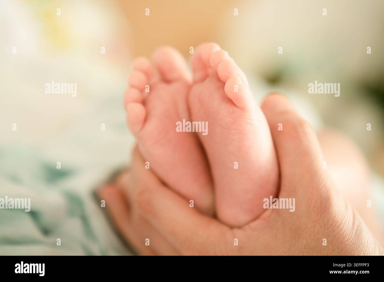 Gros plan des pieds délicats du nouveau-né tenus par la main des parents, illustrant l'amour pur, les soins et la tendresse qui entourent un nouveau-né dès les premiers jours de la vie. Banque D'Images