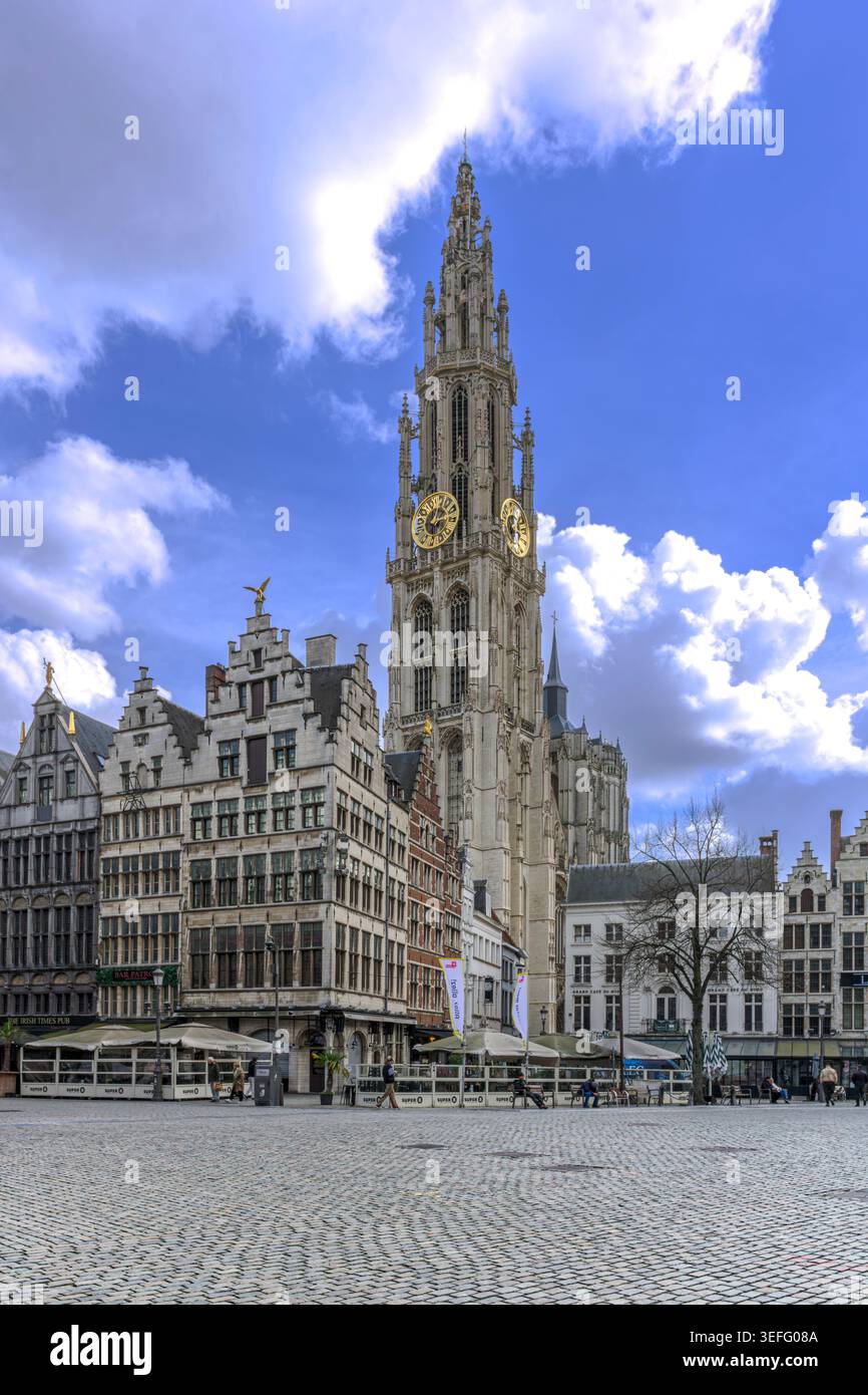 Les anciennes maisons de guilde du Grote Markt à Anvers, en Belgique, datent des années 1500 Cathédrale notre-Dame - onze-Lieve-Vrouwekathedraal en arrière-plan. Banque D'Images