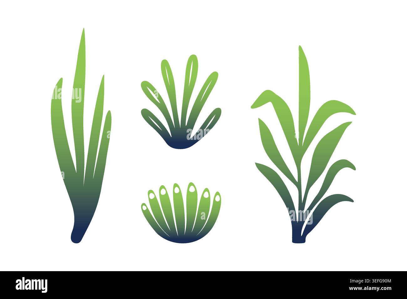 Vert et bleu foncé gradient d'éléments d'algues marines illustration vectorielle ensemble isolé sur fond blanc pour la décoration d'aquarium, livre illus pour enfants Illustration de Vecteur