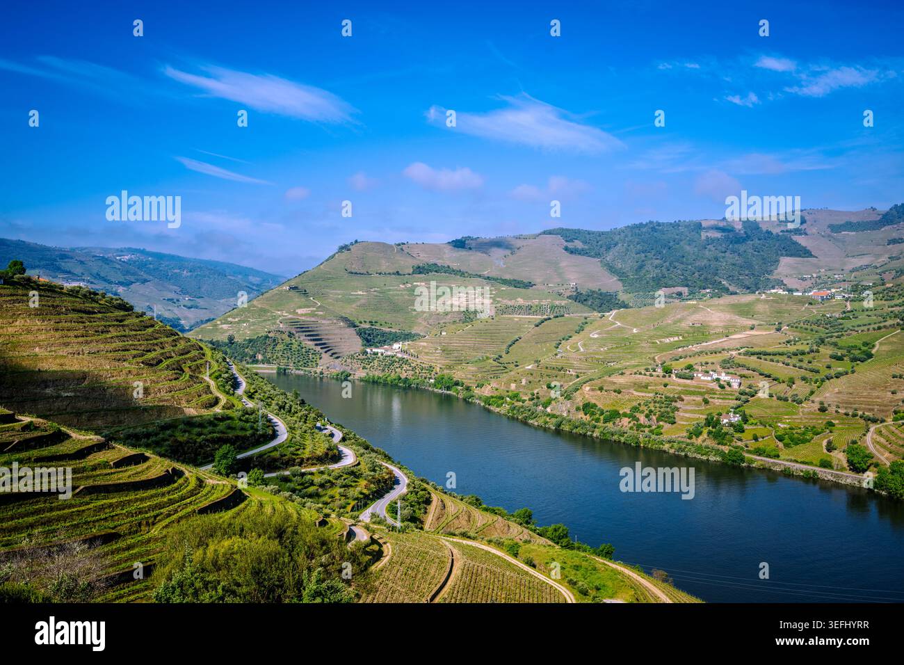 Vue panoramique sur la célèbre région viticole de la vallée du Douro au Portugal, avec vignobles en terrasses, routes sinueuses et le pittoresque fleuve Douro. Banque D'Images