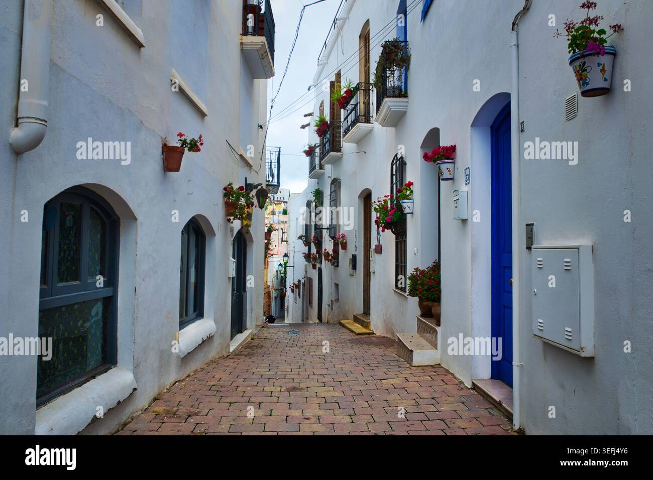 Rue traditionnelle blanchie à la chaux à Mojácar, Almería, Espagne, décorée avec des pots de fleurs colorés, des balcons et une porte bleue. Banque D'Images