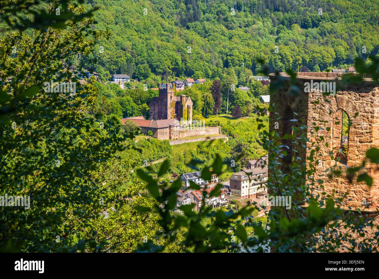 Neckarsteinach, Allemagne - avril 30 2026 : le Mittelburg est un château médiéval bien préservé et habité au sommet d'une colline à 160 mètres d'altitude près Banque D'Images