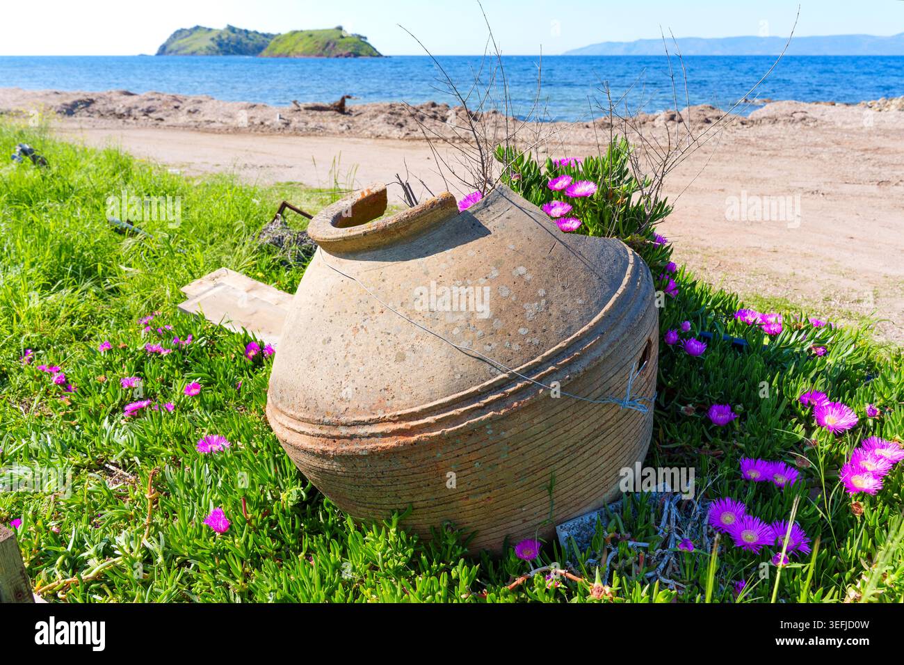 Ancienne amphore argileuse nichée dans des fleurs roses florissantes sur la côte de Pétra, en Grèce, avec la mer Égée bleue et des îles lointaines sous un c Banque D'Images
