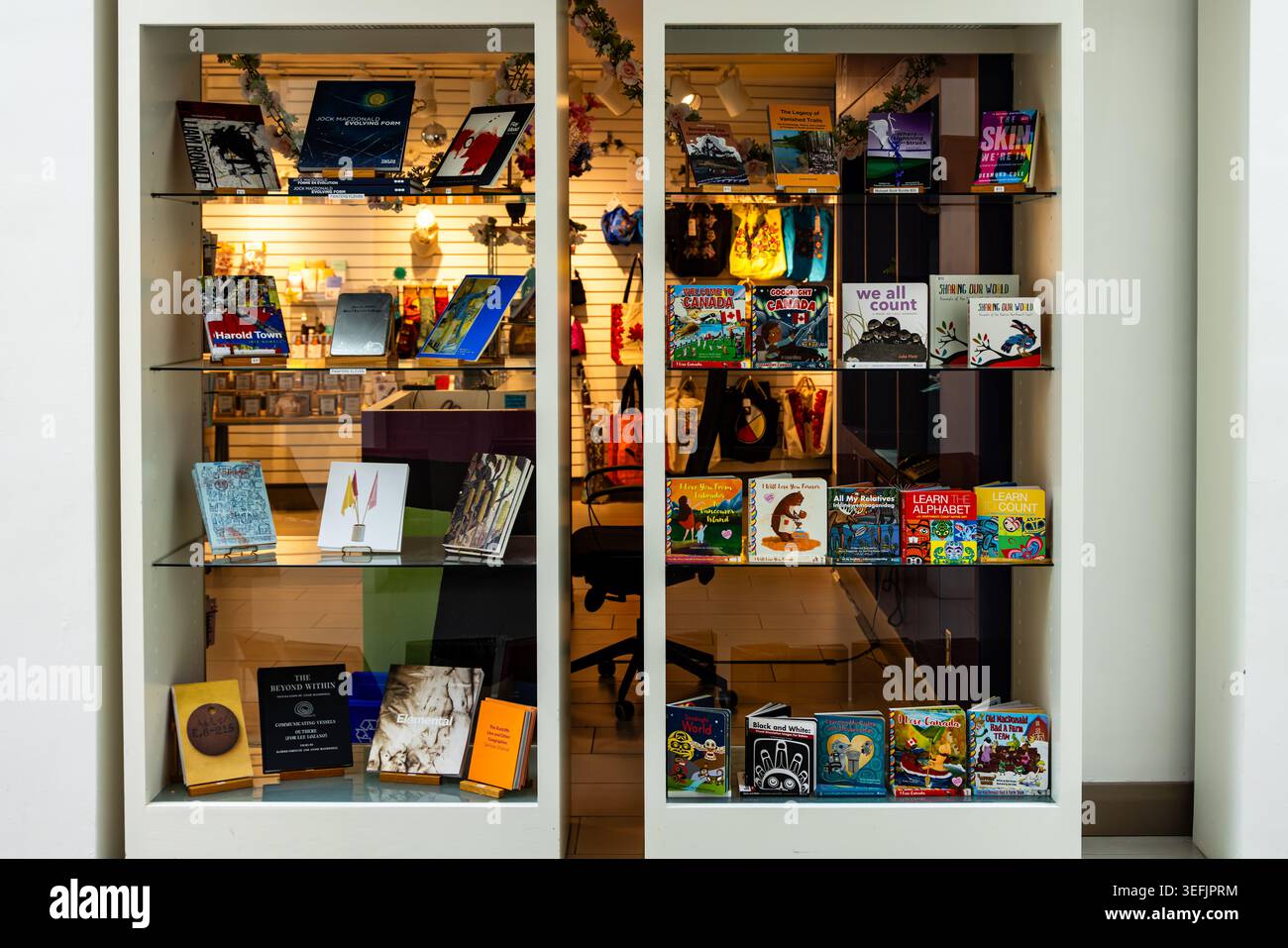 Vitrine en verre avec livres mixtes dans l'intérieur de détail Banque D'Images