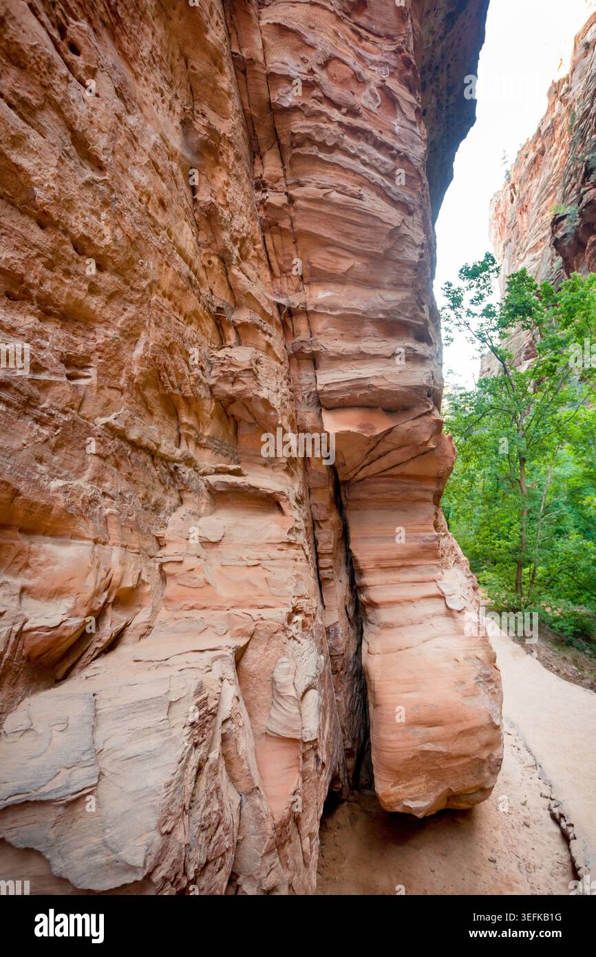 De hautes falaises de grès le long du West Rim Trail jusqu'à Angels Landing dans le parc national de Zion, Utah Banque D'Images