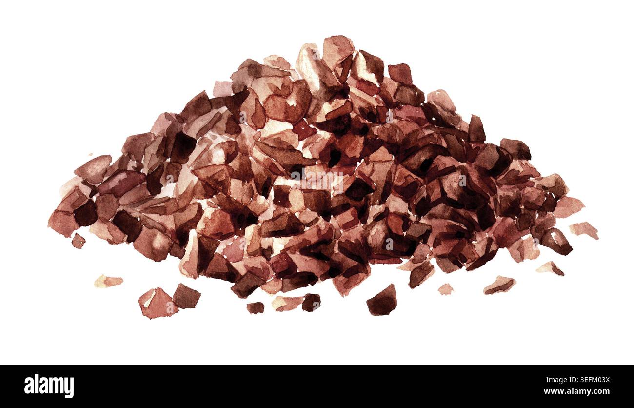 Cacao Nibs. Illustration originale peinte à la main à l'aquarelle isolée sur fond blanc Banque D'Images