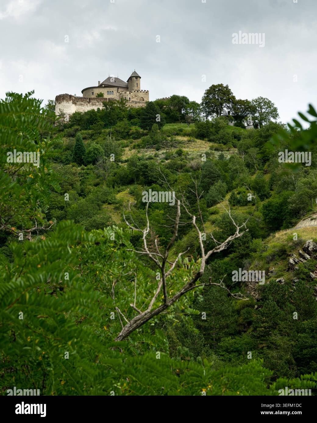 Ruine du château médiéval au sommet d'une colline s'élève au-dessus de la forêt luxuriante colline vallée Vinschgau ruine du château médiéval avec tour ronde s'élève au-dessus de la forêt luxuriante vert avant Banque D'Images