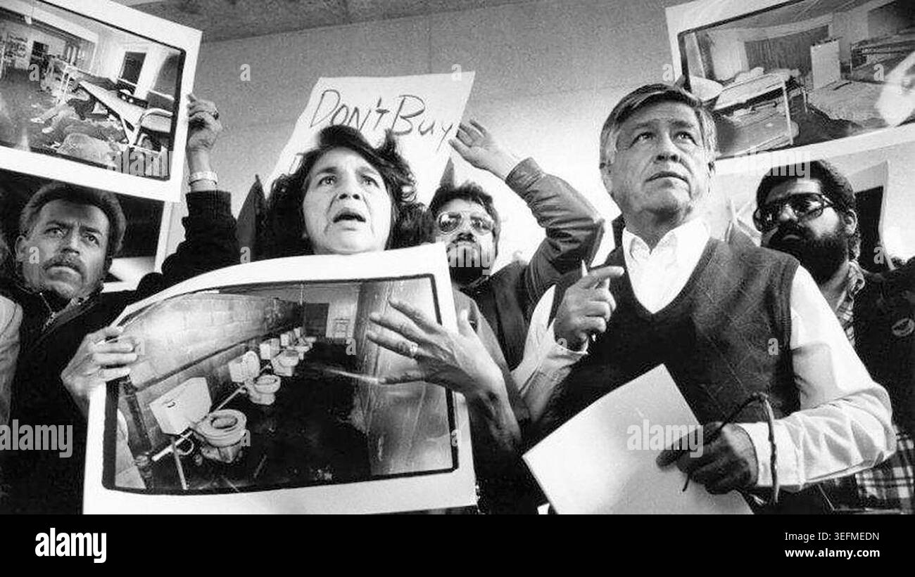 Dolores Huerta et Cesar Chavez, leaders de United Farm Workers, montrent des photos des conditions que les travailleurs agricoles endurent dans les camps de travail agricoles de la vallée de San Joaquin lors d'une conférence de presse devant le tribunal de district des États-Unis à Fresno, Californie, le 21 novembre 1989. (Photo de Richard Darby/Fresno Bee/TNS/Sipa USA) Banque D'Images