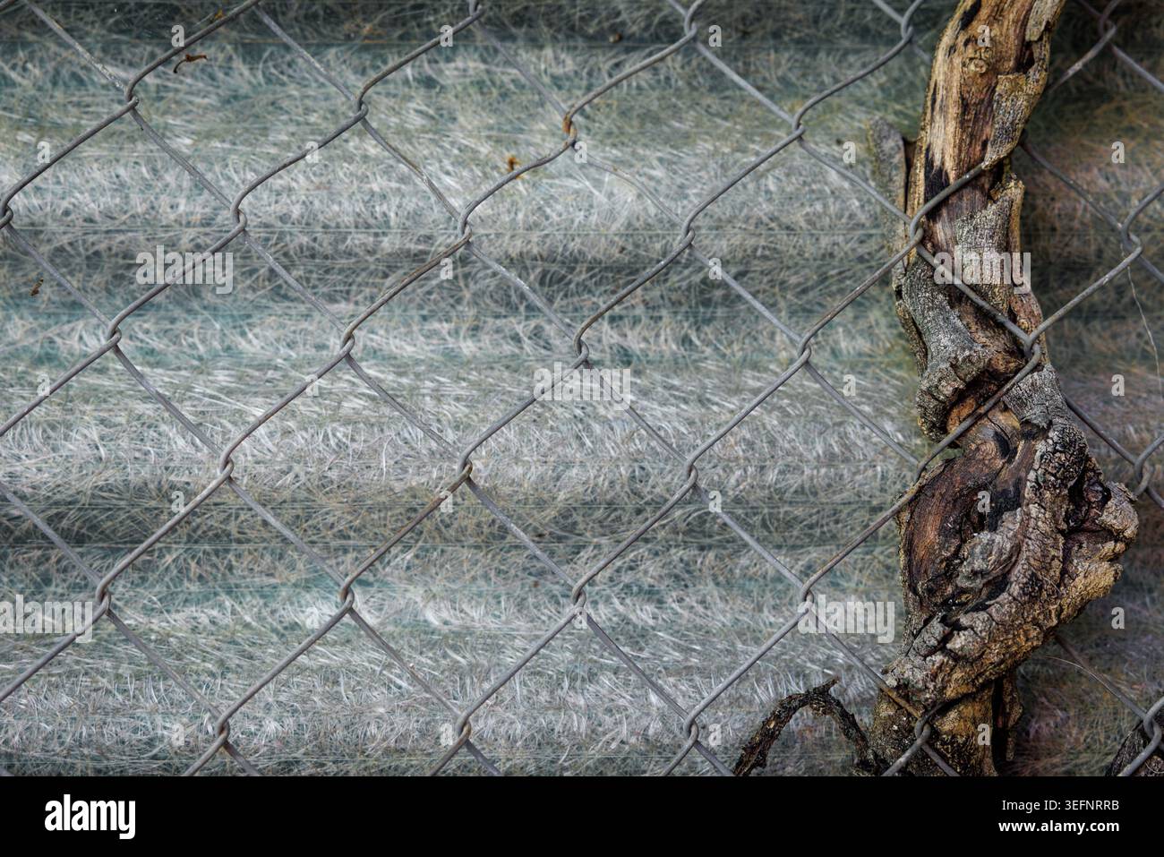 clôture métallique avec bois altéré et texture de fond de feuille de toiture en fibre de verre ondulée. Banque D'Images