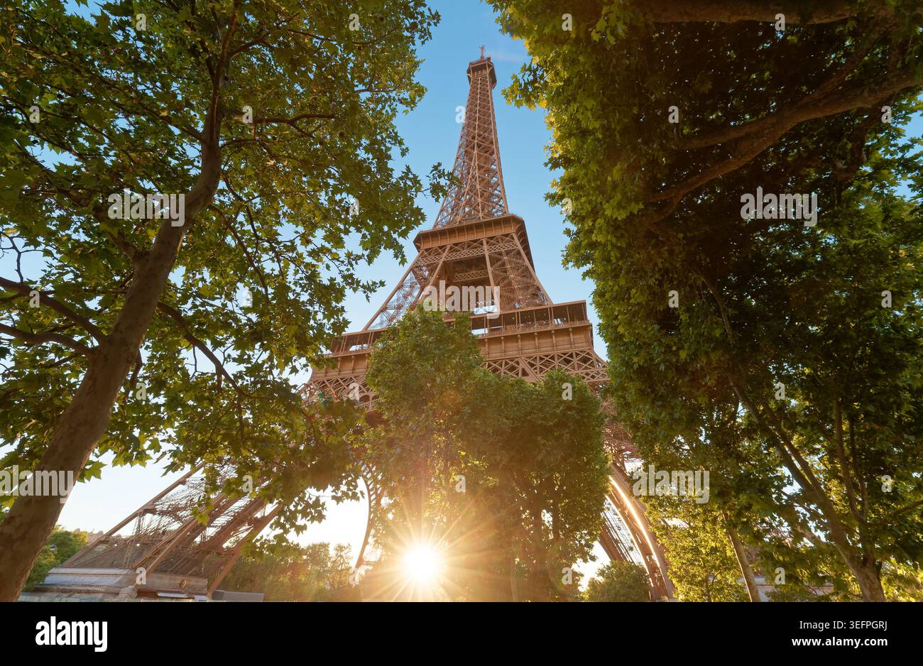 Une vue imprenable en bas angle de la Tour Eiffel vue à travers une verrière luxuriante d'arbres d'été, avec une étoile de soleil éclatante à sa base. Le chaud Banque D'Images