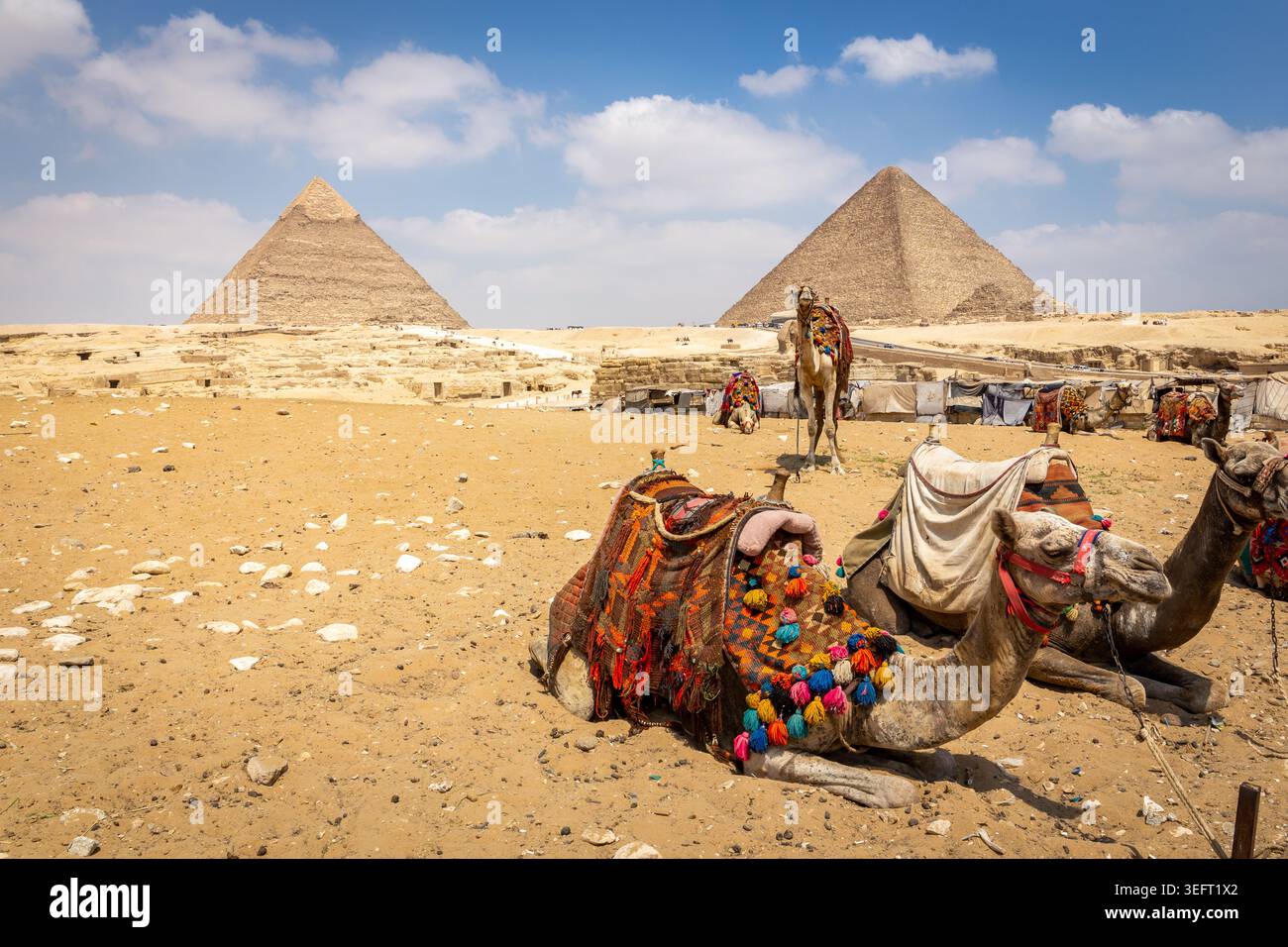 Chameaux avec des selles colorées assis devant le complexe de pyramides de Gizeh et Grand Sphinx de Gizeh avec des stands de souvenirs derrière, Egypte. Banque D'Images
