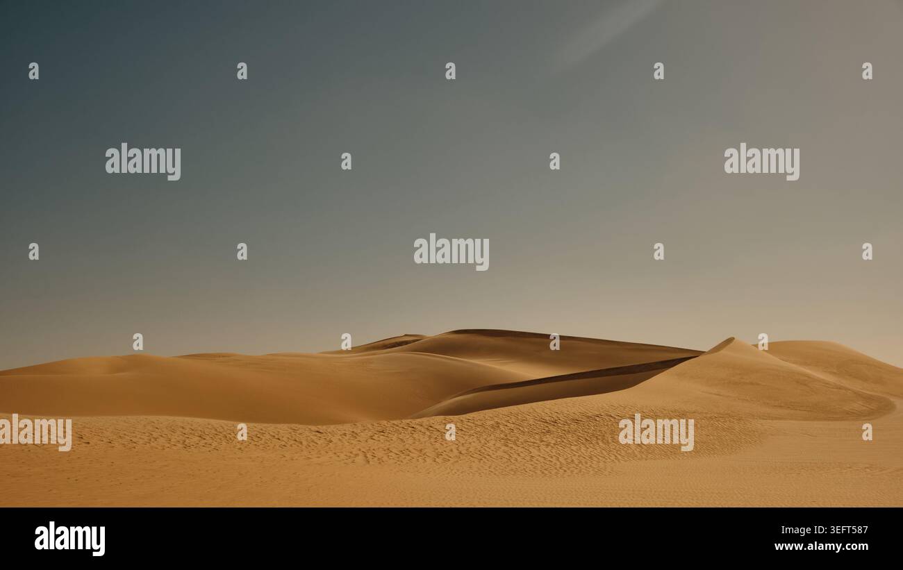 Dunes de sable doré dans le paysage du désert sous ciel clair Banque D'Images