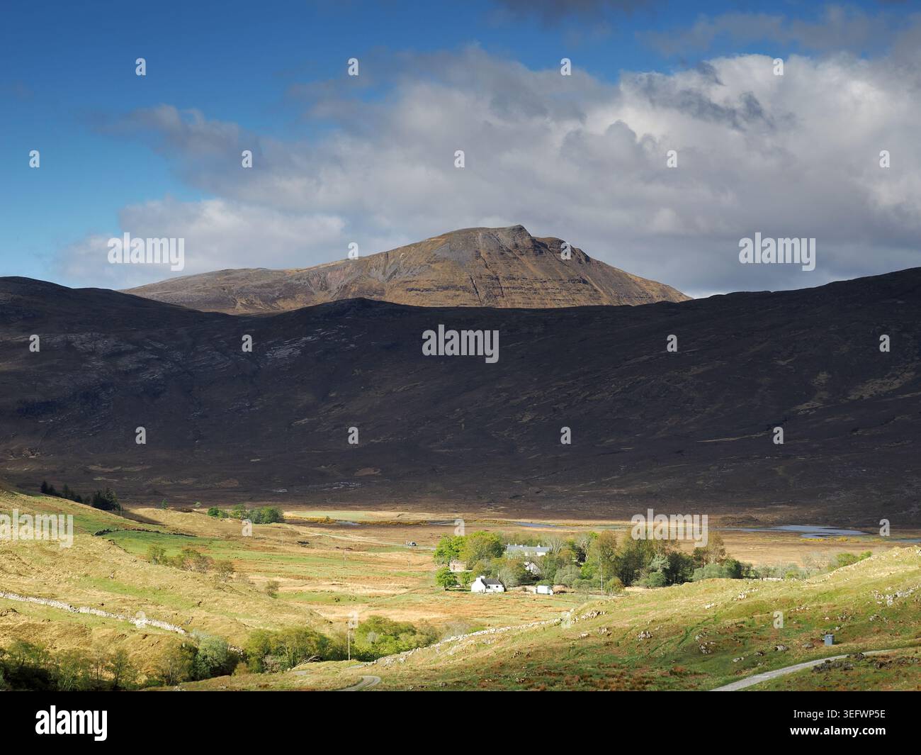 Canisp d'Inchnadamph, Assynt, Écosse Banque D'Images
