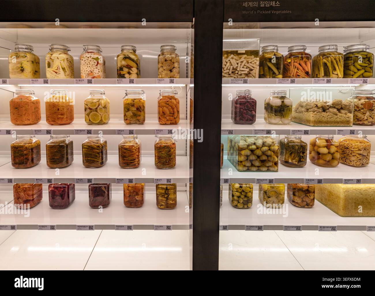 Séoul, Corée du Sud - 26 décembre 2025 : mur d'affichage mondial des légumes marinés avec Kimchi et aliments fermentés mondiaux dans des pots en verre au musée Kimchi Banque D'Images