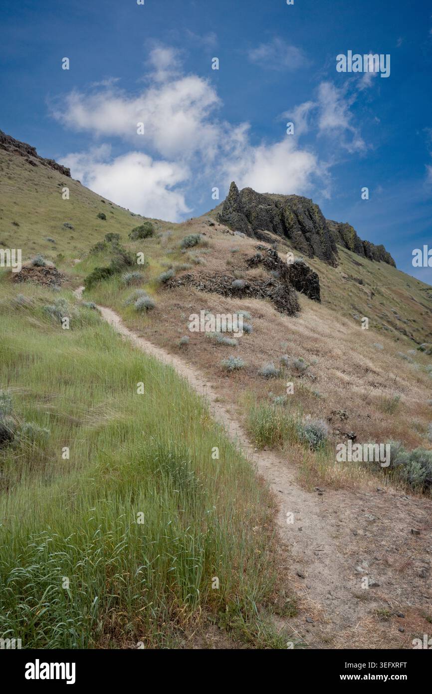 Herbe et rochers le long du chemin vers le haut Banque D'Images