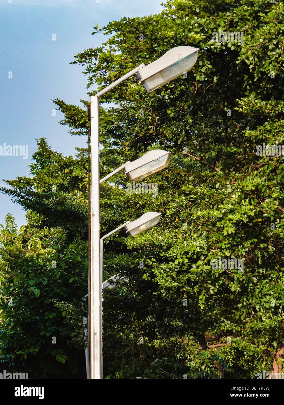 Une vue verticale de trois lampadaires attachés à un seul poteau métallique, positionnés contre une dense canopée d'arbres verts pendant une journée brillante à Yogyaka Banque D'Images