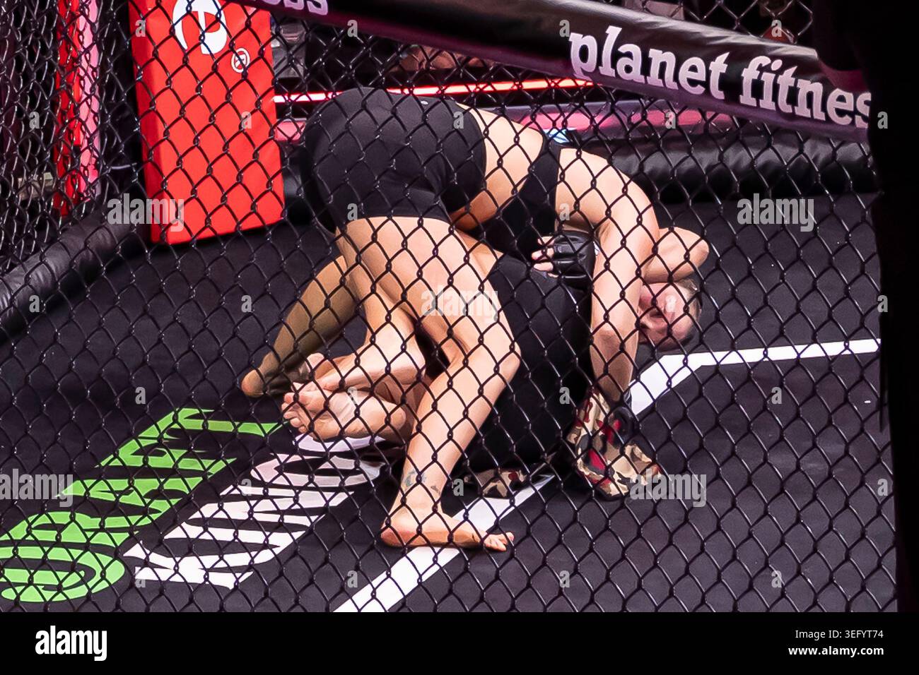 Ronda Rousey épingle Gina Carano à terre lors de Most Valuable ...