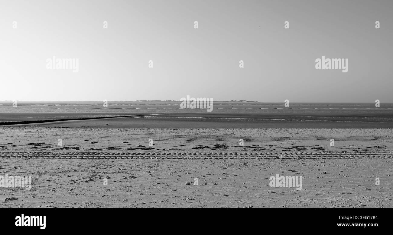 Foehr, Allemagne : vue depuis les dunes sur la plage et la mer des Wadden frisonne tombée sèche près d'Utersum à la pointe nord de l'île Amrum Banque D'Images