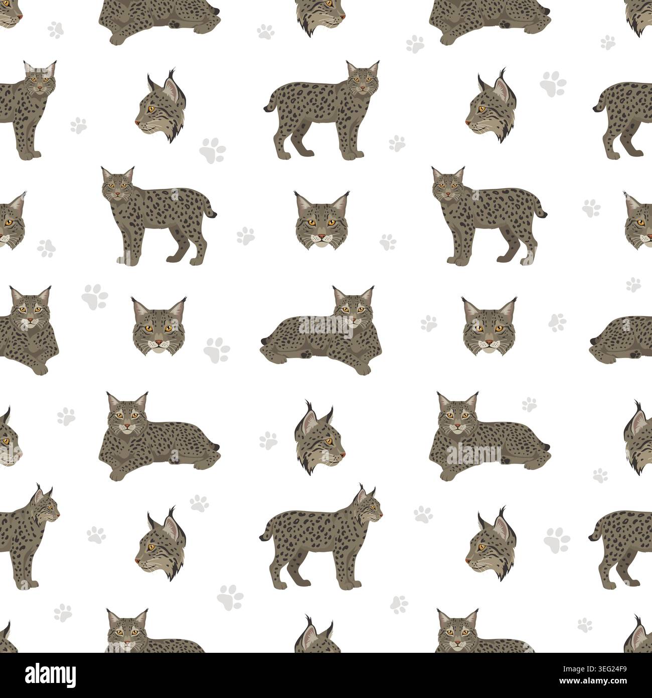 Chats sauvages européens. Modèle sans couture de lynx eurasien. Illustration vectorielle Illustration de Vecteur