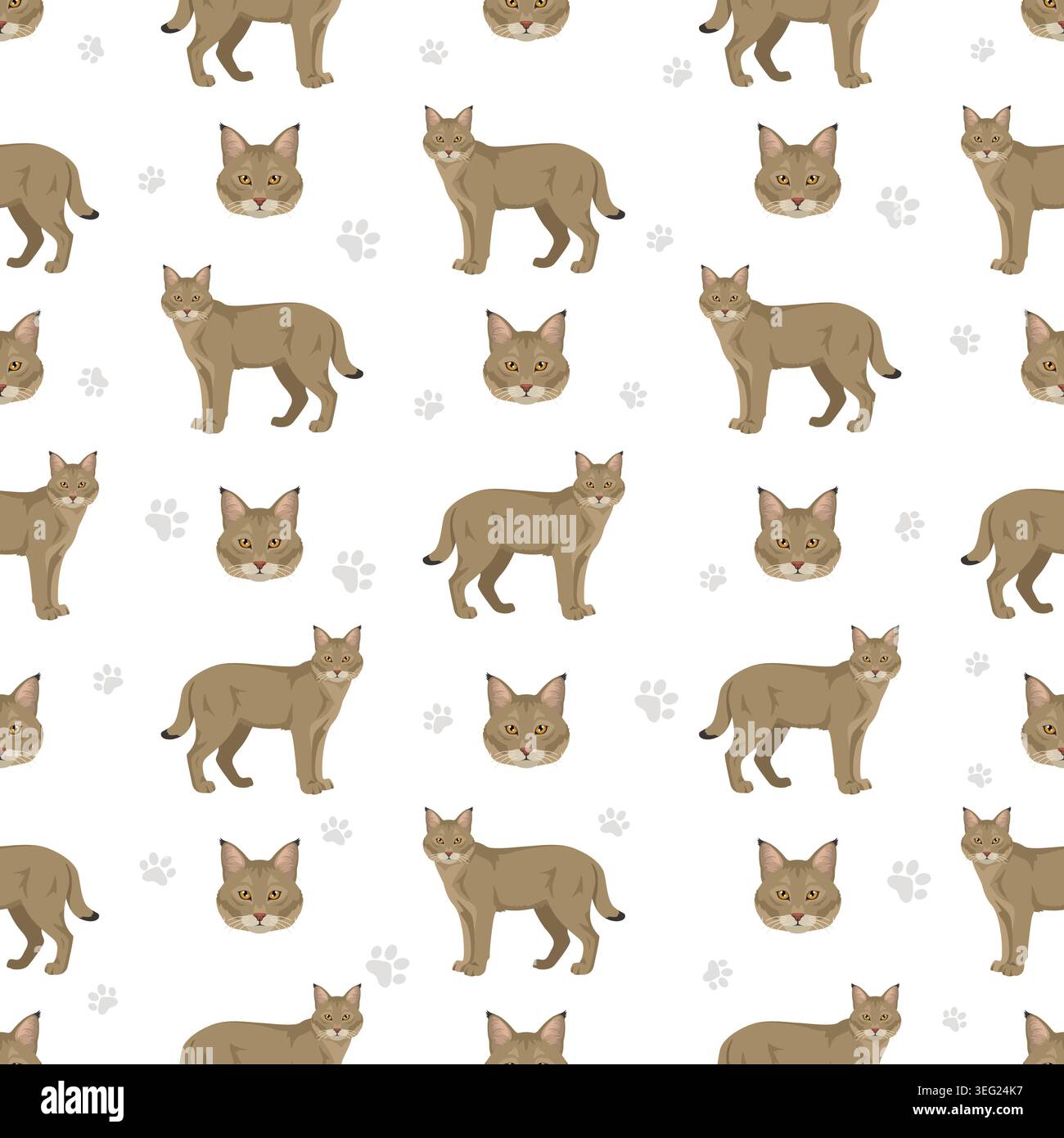 Chats sauvages européens. Motif sans couture chat jungle. Illustration vectorielle Illustration de Vecteur
