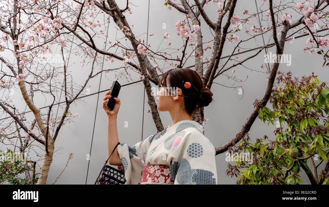 Une femme japonaise portant un kimono traditionnel prend une photo avec un smartphone sous des arbres sakura en fleurs à Tokyo, capturant des moments de voyage printanier dans un c Banque D'Images