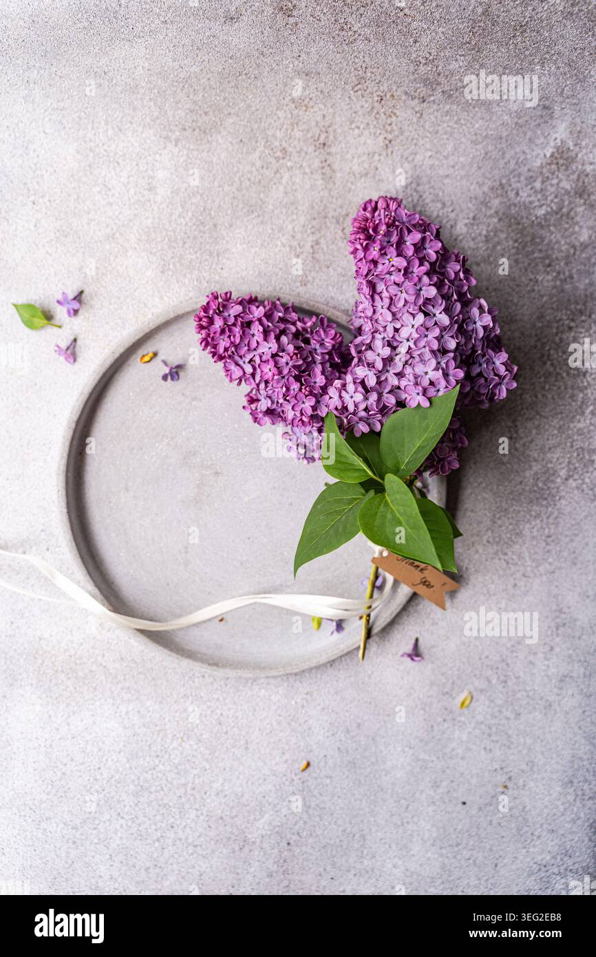 Une belle fleur de lilas aux feuilles vertes éclatantes repose sur une plaque circulaire texturée, entourée de quelques pétales éparpillés, incarnant l'élégance de Banque D'Images