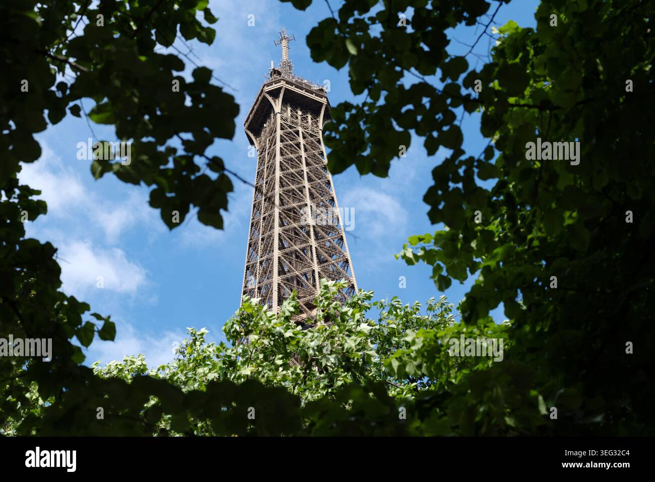 Tour Eiffel vue à travers les arbres du dessous de la tour du côté champ de mars à Paris, France. Banque D'Images