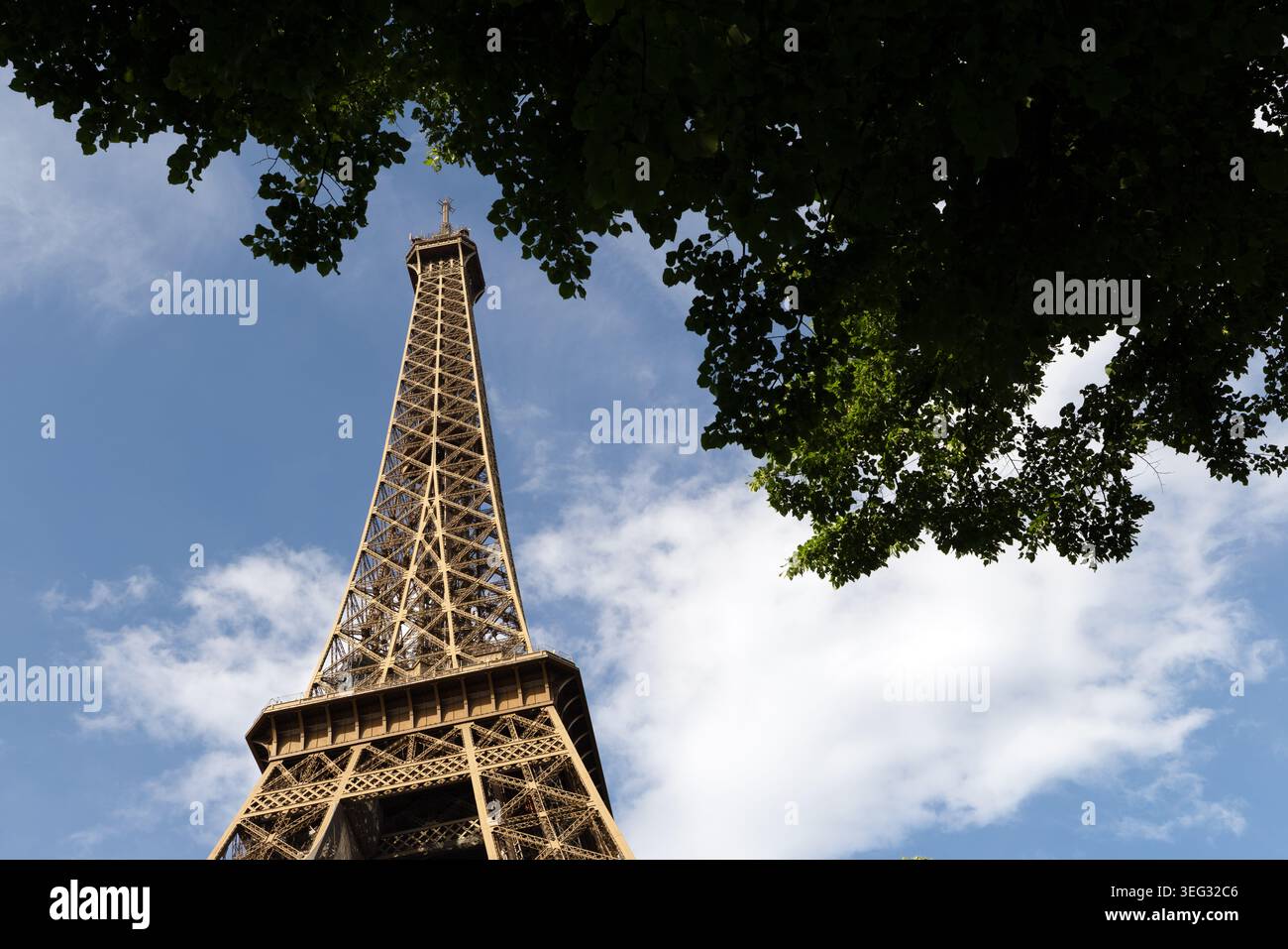Tour Eiffel vue à travers les arbres du dessous de la tour du côté champ de mars à Paris, France. Banque D'Images