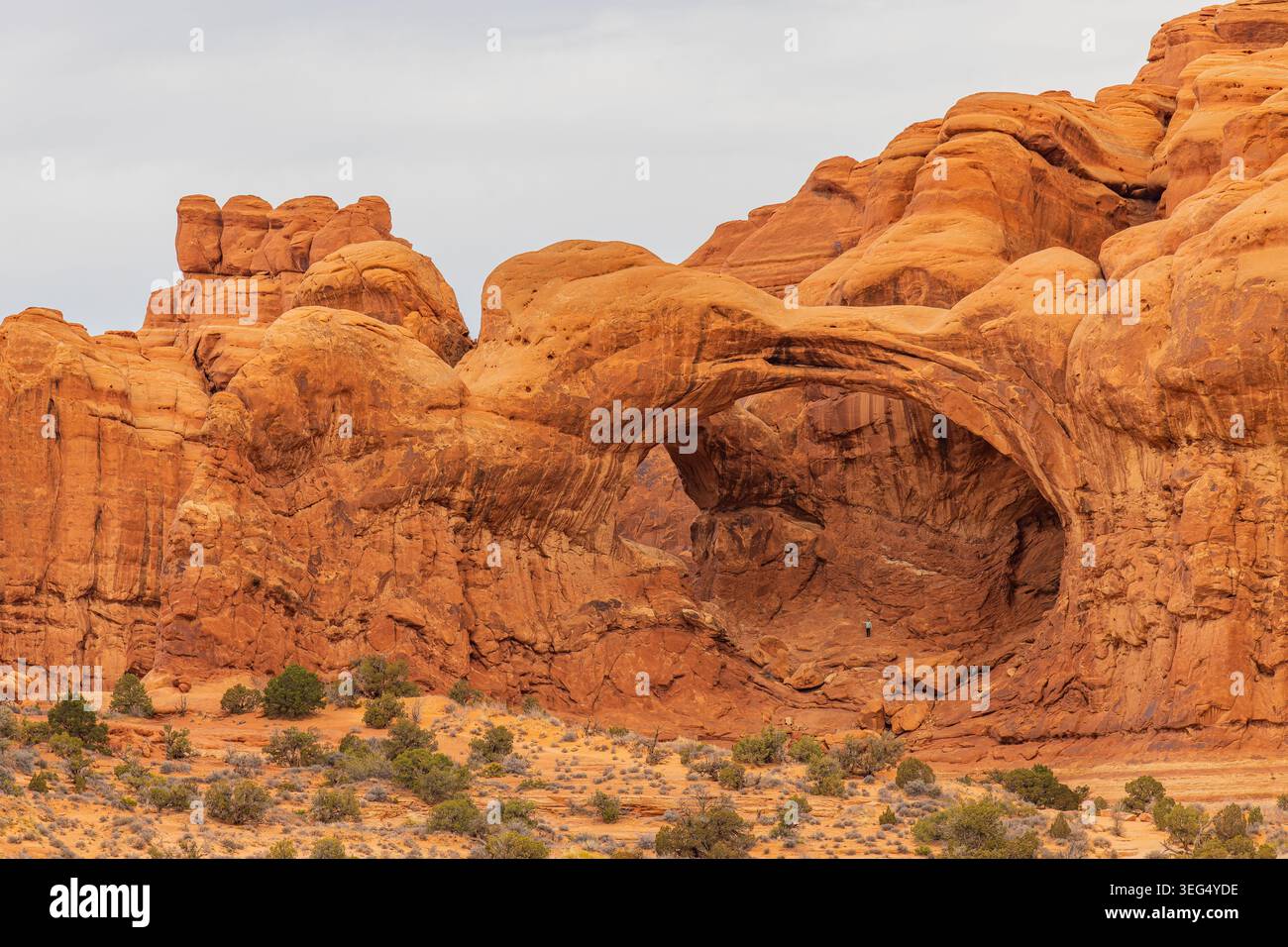 Un randonneur se tient sous l'énorme travée de grès d'OLeary Arch s'élevant au-dessus d'une brousse désertique clairsemée à Moab. Banque D'Images