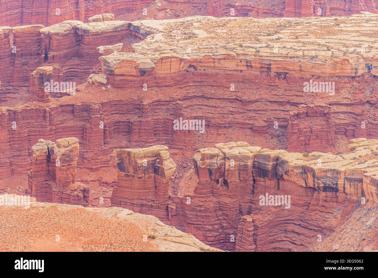 Des formations rocheuses rouges massives et des parois profondes du canyon remplissent le paysage désertique sous la lumière du soleil. Banque D'Images