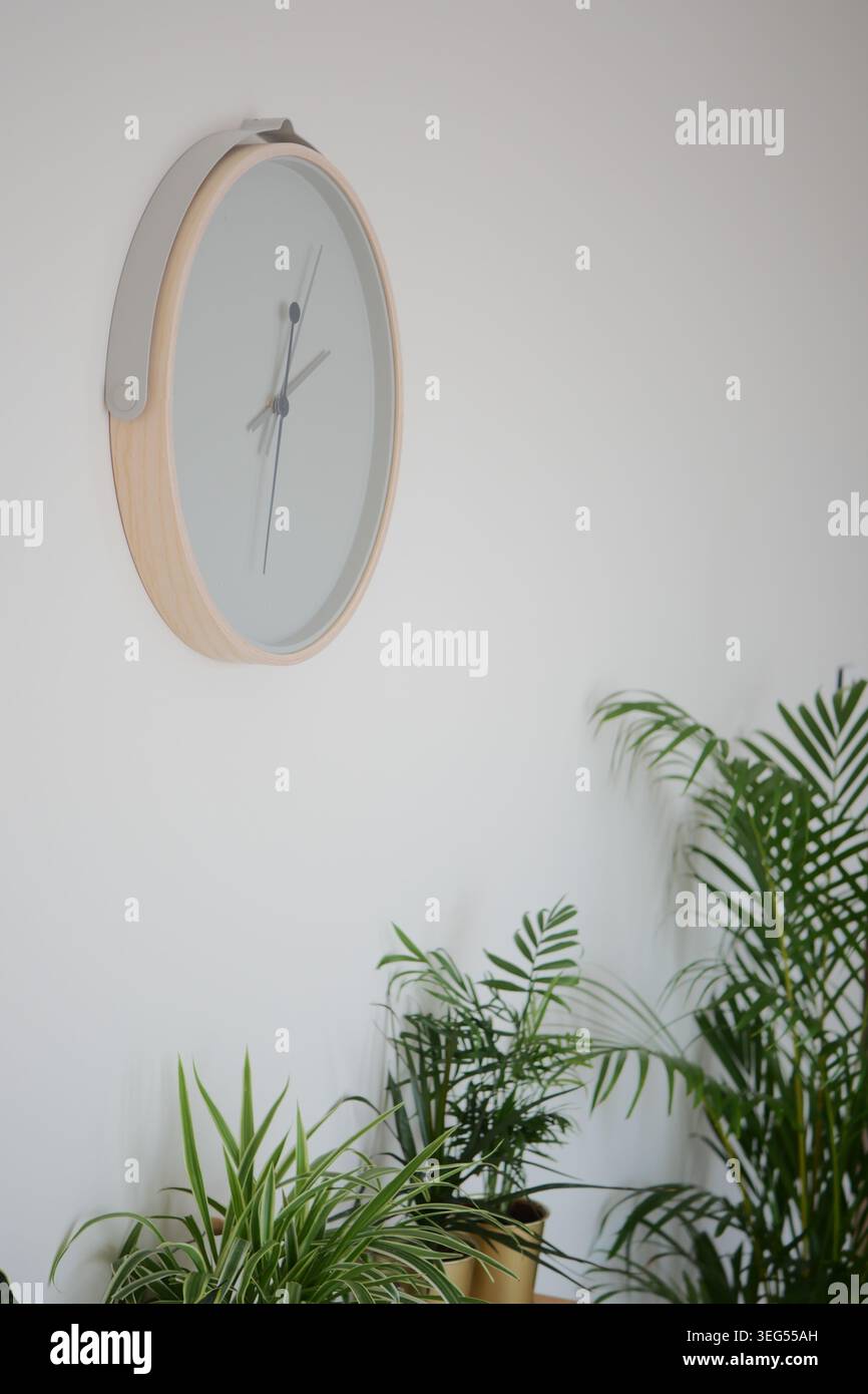 Horloge sur le mur avec des plantes dans l'espace intérieur Banque D'Images