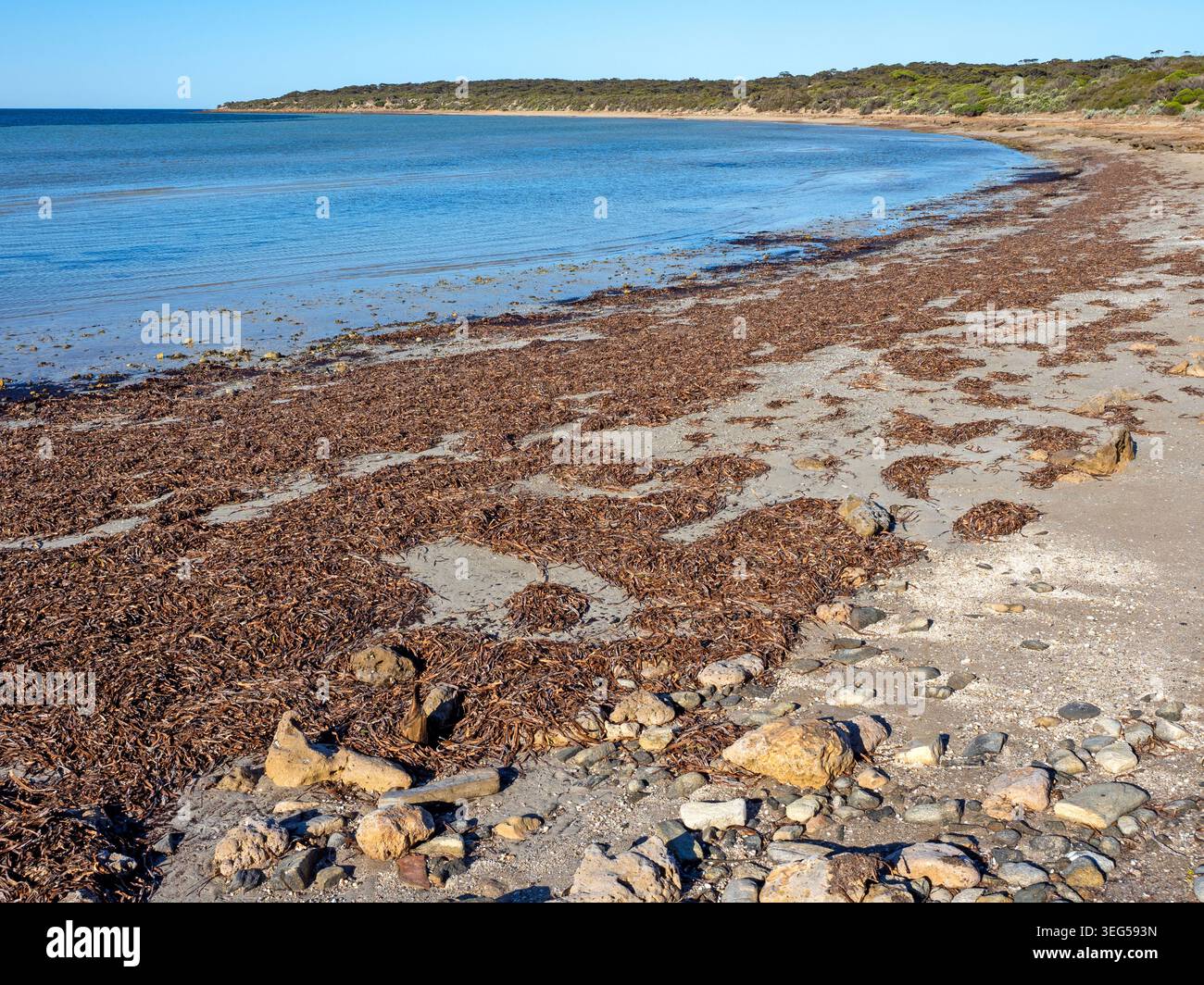 Plage de Surfleet point, parc national de Lincoln Banque D'Images