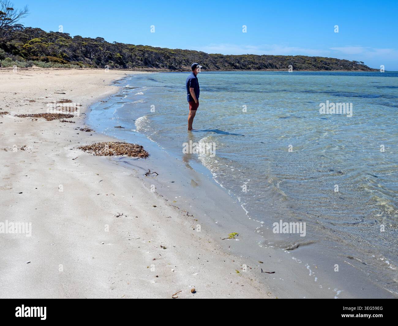 Homme debout dans l'eau à Surfleet Cove, Lincoln National Park Banque D'Images