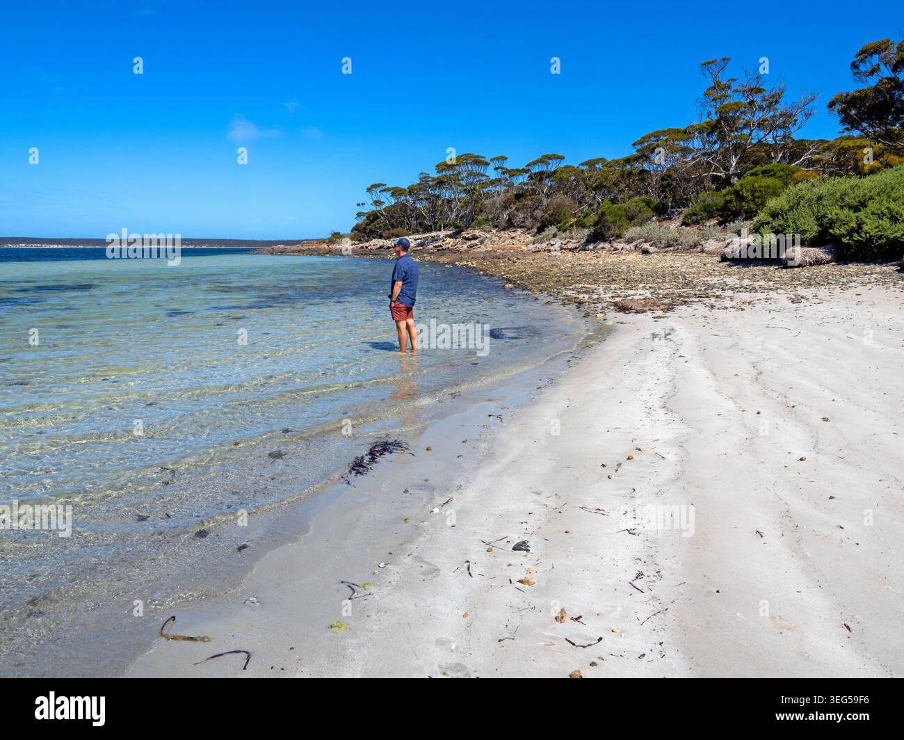 Homme debout dans l'eau à Surfleet Cove, Lincoln National Park Banque D'Images