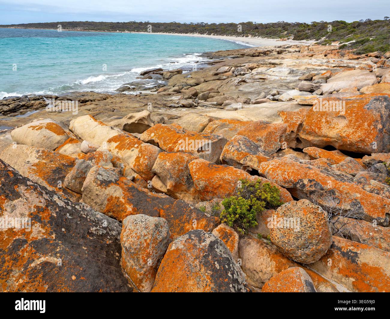 September Beach, parc national de Lincoln Banque D'Images