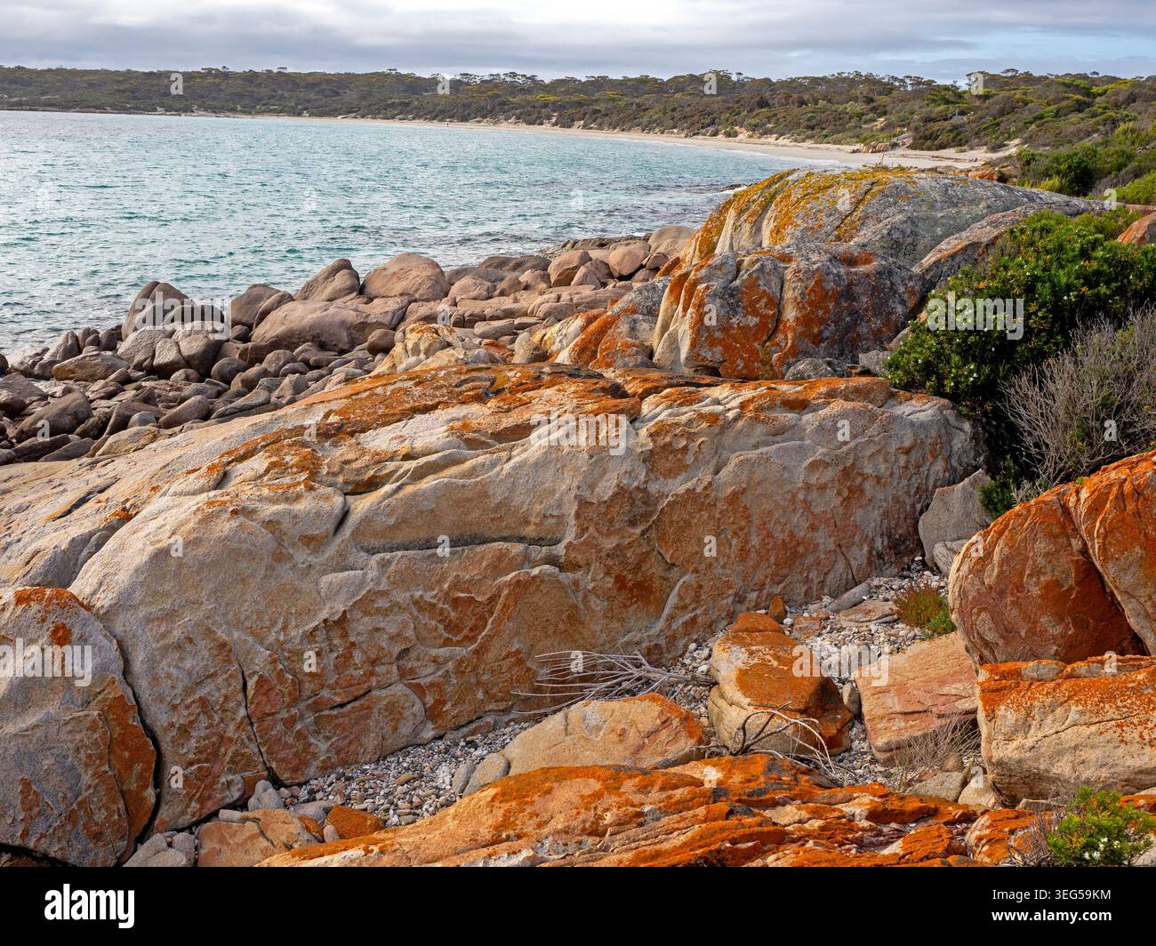 September Beach, parc national de Lincoln Banque D'Images