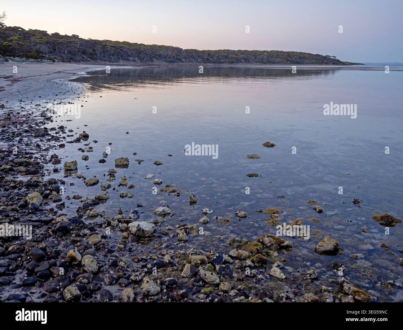 Surfleet Cove, parc national de Lincoln Banque D'Images