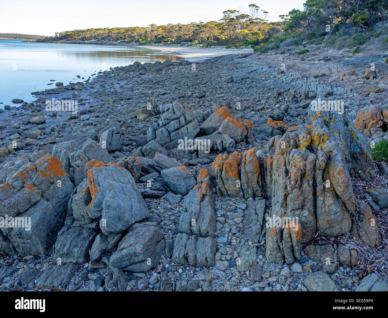Surfleet Cove, parc national de Lincoln Banque D'Images