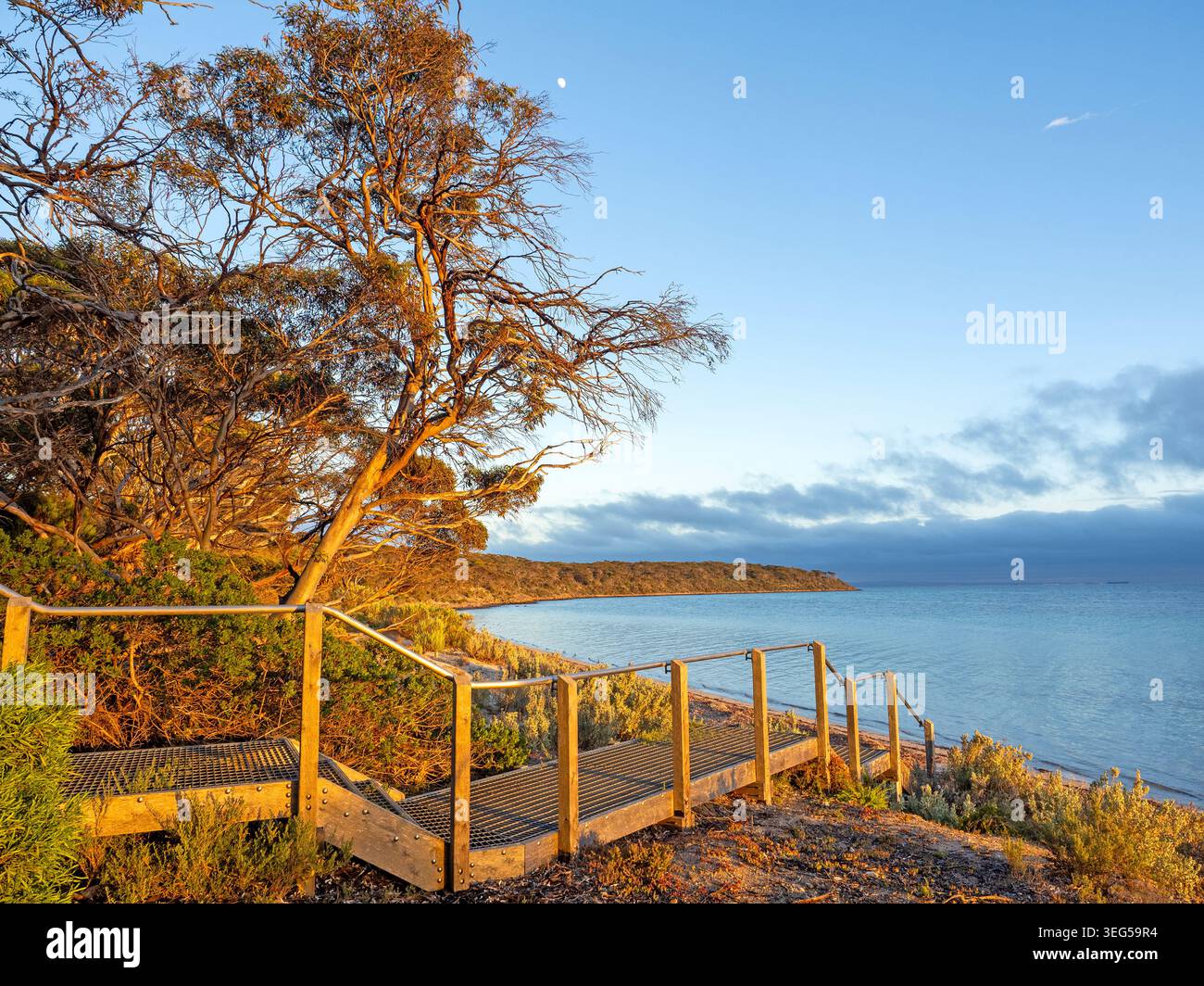 Surfleet Cove, parc national de Lincoln Banque D'Images