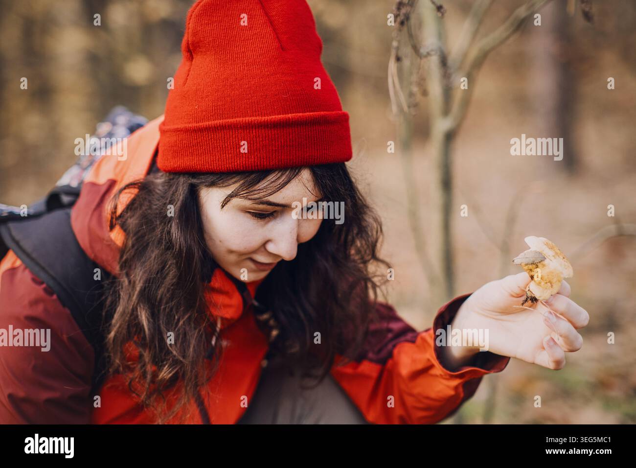 Femme squats dans la forêt tenant un petit champignon sauvage pour examen. Guide d'identification des champignons, étude de mycologie amateur, recherche botanique sur le terrain Banque D'Images